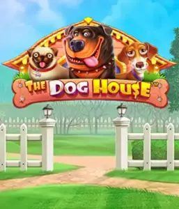 From Pragmatic Play comes The Dog House, featuring a fun-filled journey into the world of playful pups. Enjoy features including sticky wilds, aimed at providing entertaining gameplay. A must-try for those who enjoy an amusing theme with a chance for big wins.